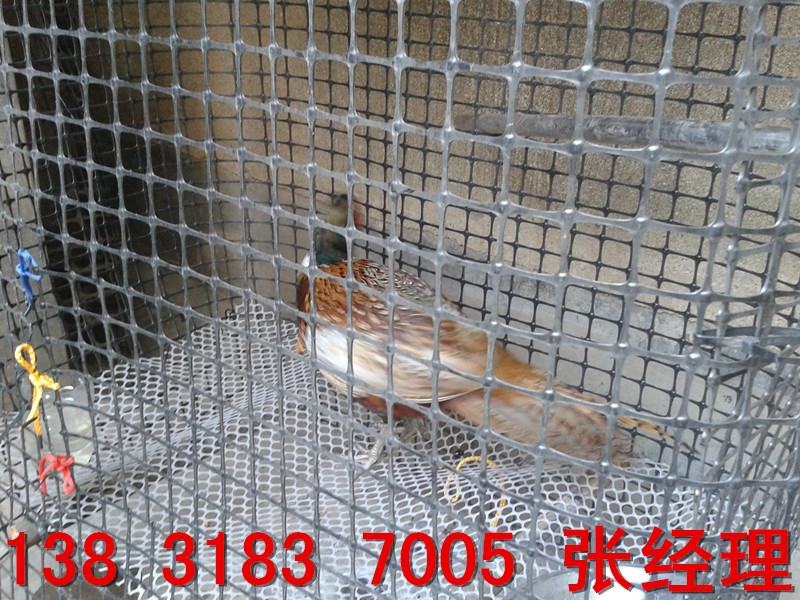 1385452401-2344486_副本